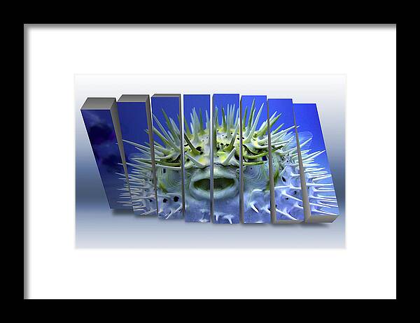 Porcupine Pufferfish Framed Print featuring the mixed media Porcupine Puffer by Marvin Blaine