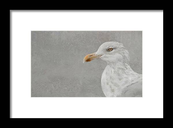 Bird Framed Print featuring the photograph Portrait of a Gull by Karen Lynch