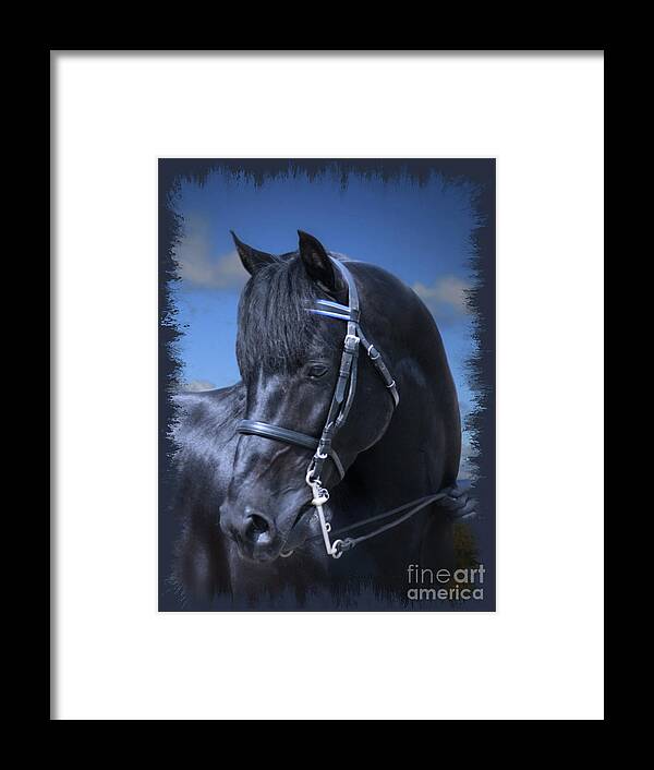 Animal Framed Print featuring the photograph Portrait of a Morgan by Sandra Huston