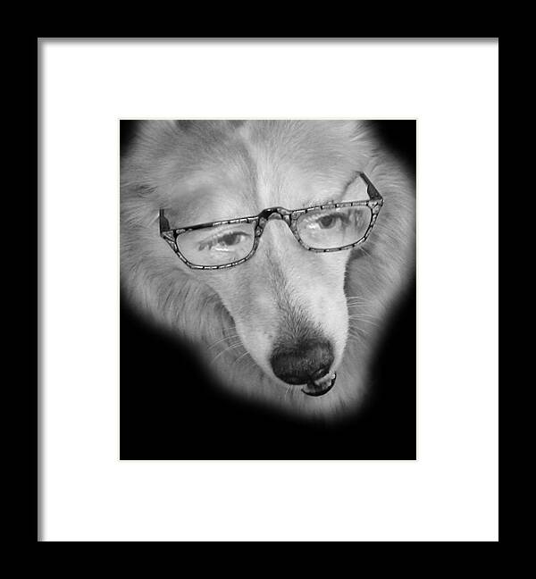 Mick Framed Print featuring the photograph Portrait of the artist as on Old Dog...learning new tricks... by Michaelalonzo Kominsky