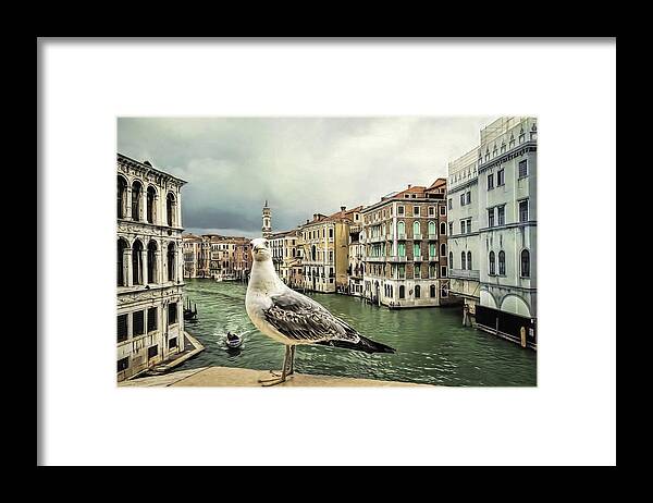 Adriatic Framed Print featuring the photograph Posing for Tourists by Maria Coulson
