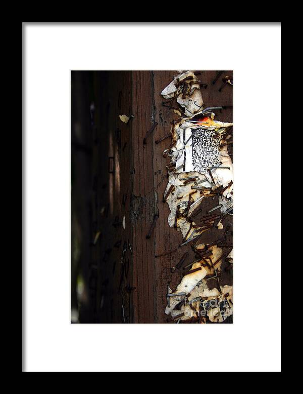 Abstract Framed Print featuring the photograph Posted remains by Balanced Art