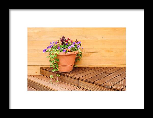 Flowers Framed Print featuring the photograph Potted Flowers Still Life by Shuwen Wu