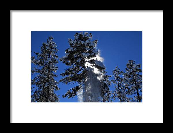 Trees Framed Print featuring the photograph Powderfall by Gary Kaylor