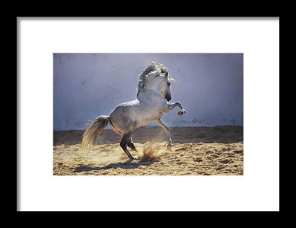 Russian Artists New Wave Framed Print featuring the photograph Power in Motion by Ekaterina Druz