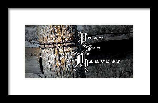 Pray Sow Harvest Framed Print featuring the photograph Pray Sow Harvest by Troy Stapek
