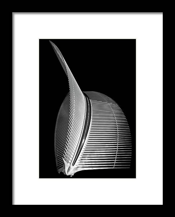 Calatrava Framed Print featuring the photograph Prehistoric by James Howe