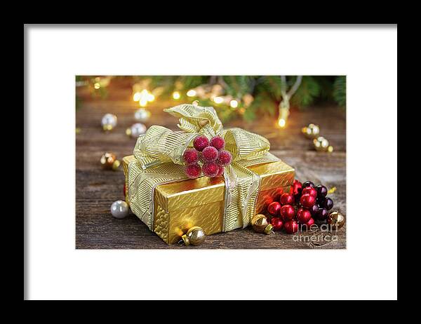 Christmas Framed Print featuring the photograph Present for Christmas by Anastasy Yarmolovich