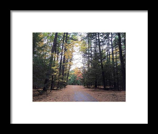 Forest Framed Print featuring the photograph Preserved by Anjel B Hartwell