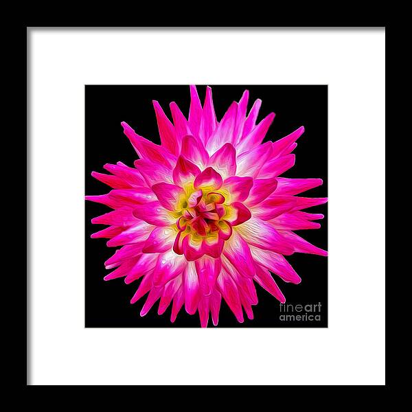 Pink Dahlia Framed Print featuring the photograph Prettiest in Pink by Jilian Cramb - AMothersFineArt