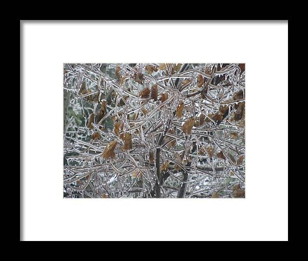 Frozen Framed Print featuring the photograph Pretty as Glass by Stacie Siemsen