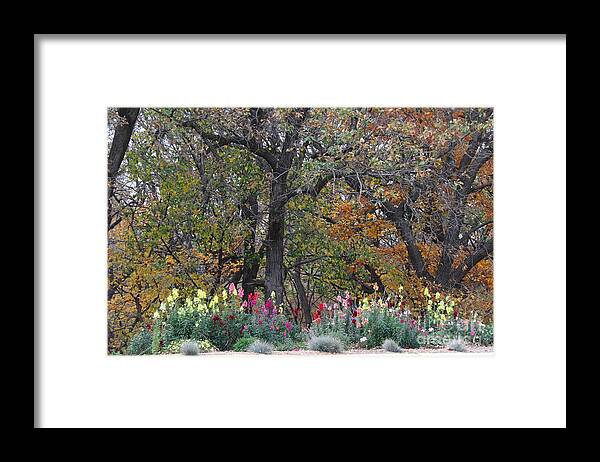 Flowers Framed Print featuring the photograph Pretty display by Yumi Johnson
