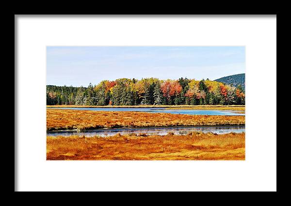  Acadia National Park Framed Print featuring the photograph Pretty Marsh 2 by Mike Breau