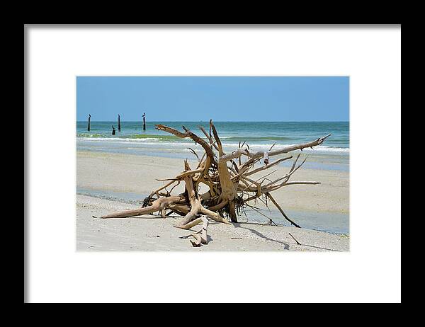 Beach Framed Print featuring the photograph Pretzel by Artful Imagery