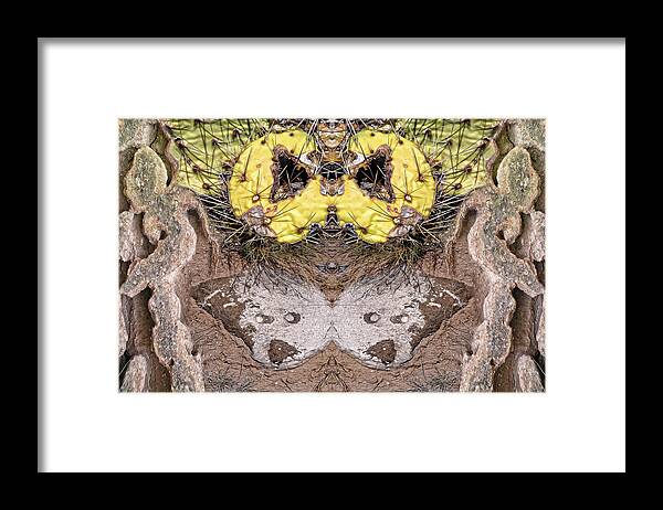Split Personality Framed Print featuring the digital art Prickly Bear by Becky Titus