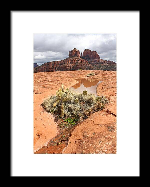 Sedona Framed Print featuring the photograph Prickly Dam by Gary Kaylor