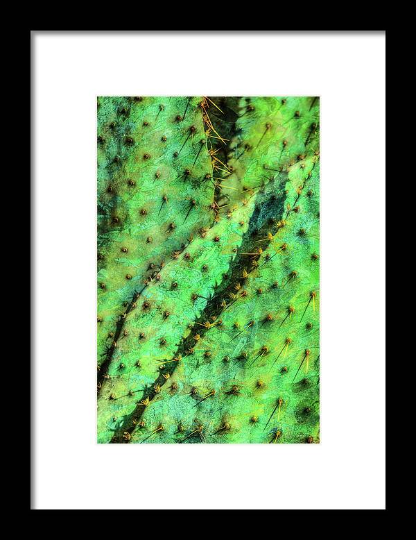 Prickly Pear Framed Print featuring the photograph Prickly by Paul Wear