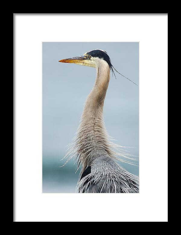  Framed Print featuring the photograph Primal by Sherry Clark