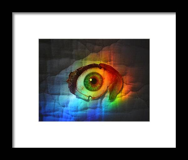 Eye Framed Print featuring the photograph PrismaEye by Douglas Fromm