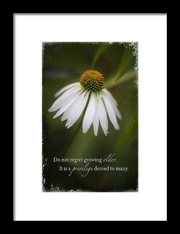 Coneflower Framed Print featuring the photograph Privileged by Jill Love
