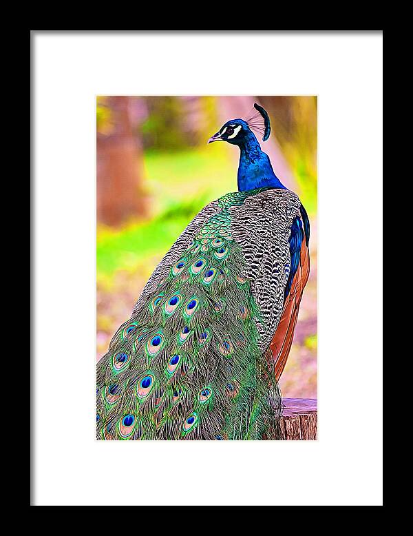 Bird Framed Print featuring the photograph Proudly spotted by Tatiana Travelways