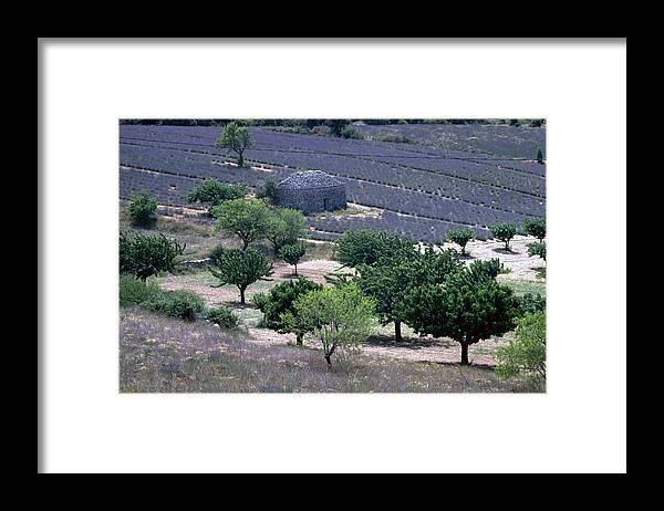 Provence Framed Print featuring the photograph Provence by Flavia Westerwelle