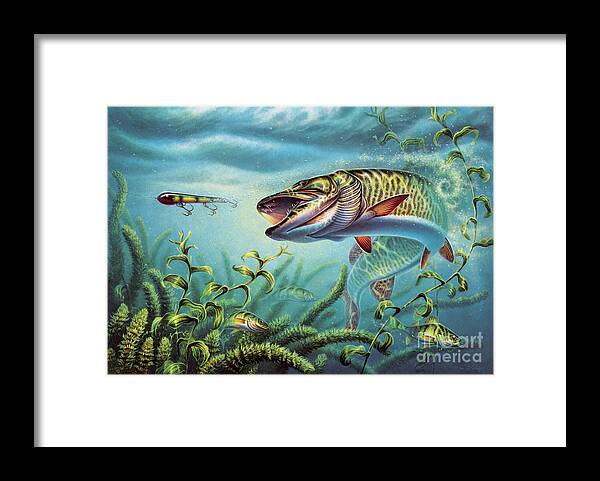 Muskie Framed Print featuring the painting Provoked Musky by JQ Licensing