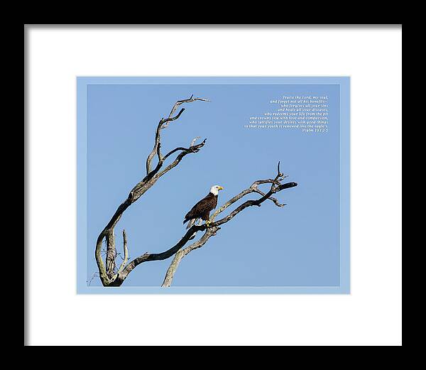 Daily Scripture Framed Print featuring the photograph Psalm 103 2-5 by Dawn Currie