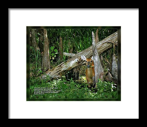 Daily Scripture Framed Print featuring the photograph Psalm 18 32-33 by Dawn Currie