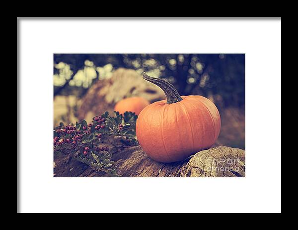 Pumpkin Framed Print featuring the photograph Pumpkin by Amanda Elwell