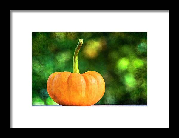 Pumpkin Framed Print featuring the photograph Pumpkin by Cathy Kovarik