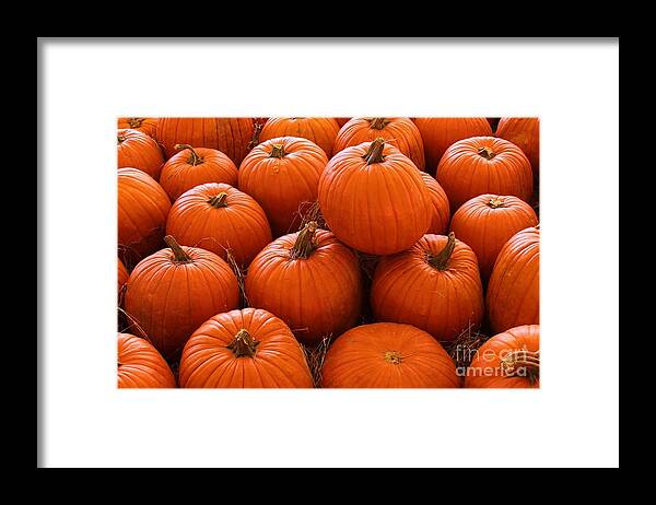 Photo For Sale Framed Print featuring the photograph Pumpkin Parch 3 by Robert Wilder Jr