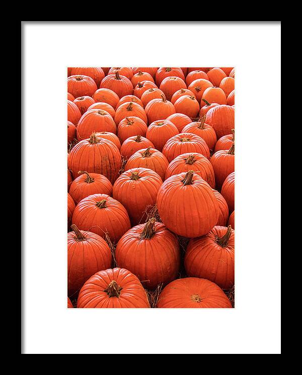 Autumn Framed Print featuring the photograph Pumpkin Patch by Robert Wilder Jr
