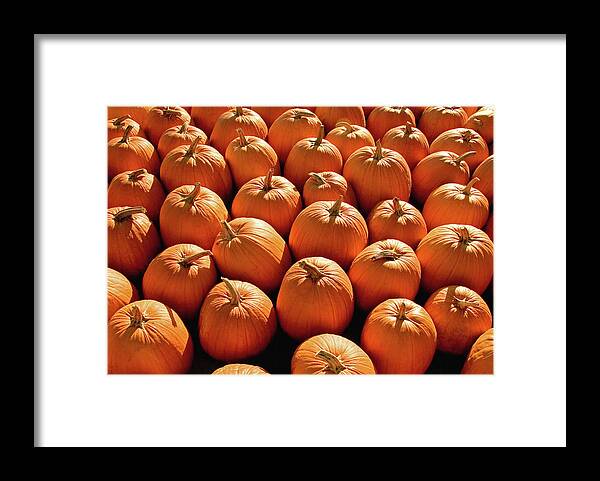 Pumpkins Framed Print featuring the photograph Pumpkin Pile by Todd Klassy