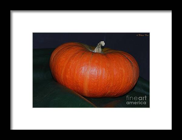 Seasonal Framed Print featuring the photograph Pumpkin Season by Felicia Tica