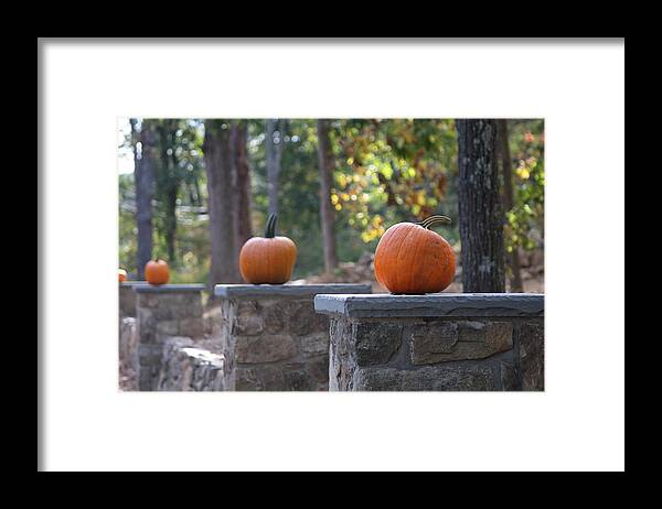 Autumn Framed Print featuring the photograph Pumpkin Stone Wall by Living Color Photography Lorraine Lynch