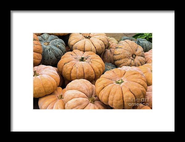 Autumn Framed Print featuring the photograph Pumpkins for sale in Korean market by Andrew Michael