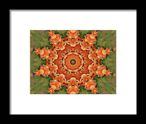 Pumpkins Framed Print featuring the photograph Pumpkins Galore by Charles HALL