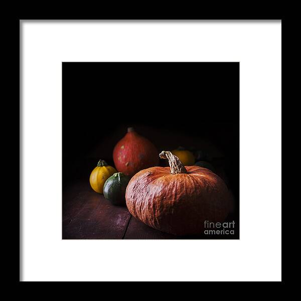 Pumpkin Framed Print featuring the photograph Pumpkins by Jelena Jovanovic