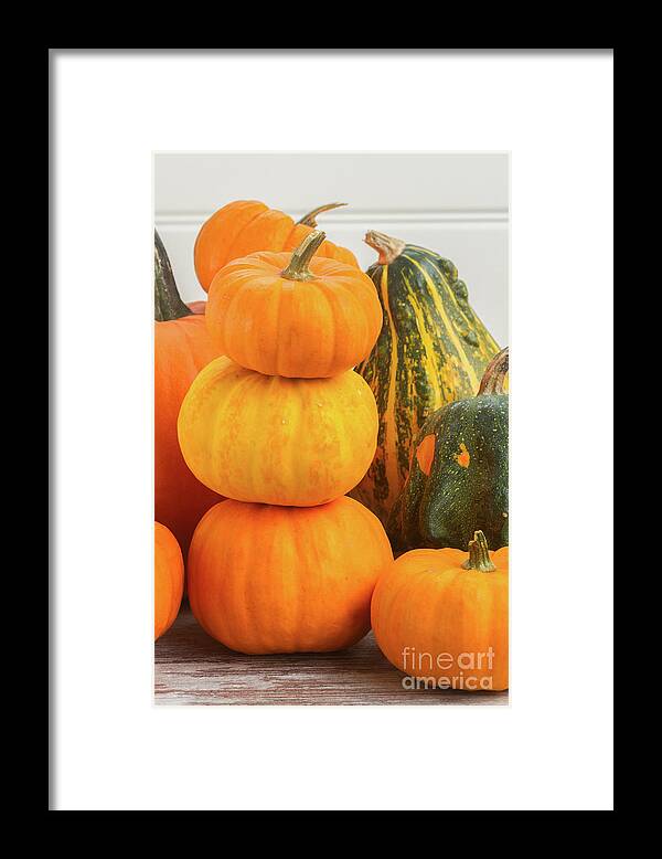 Pumpkin Framed Print featuring the photograph Pumpkins on Table by Anastasy Yarmolovich