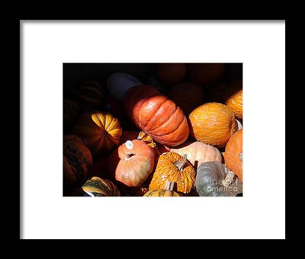 Pumpkins Framed Print featuring the photograph Punkin Patch by Fred Wilson