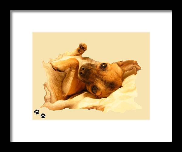 Dogs Framed Print featuring the photograph Puppy Love by Amanda Vouglas