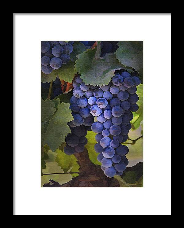 Grape Framed Print featuring the photograph Purple Blush by Sharon Foster