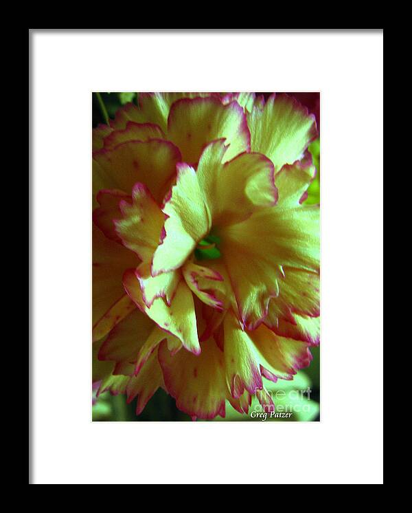 Patzer Framed Print featuring the photograph Purple Edges by Greg Patzer