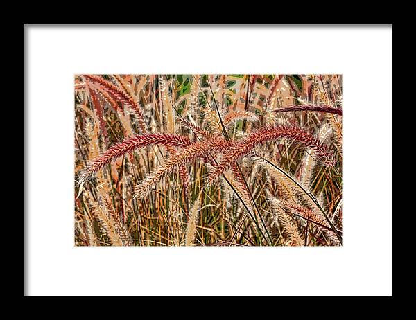 Fountain Grass Framed Print featuring the photograph Purple Fountain Grass Abstract 2 by H H Photography of Florida by HH Photography of Florida