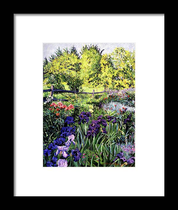 Irises Framed Print featuring the painting Purple Garden by David Lloyd Glover