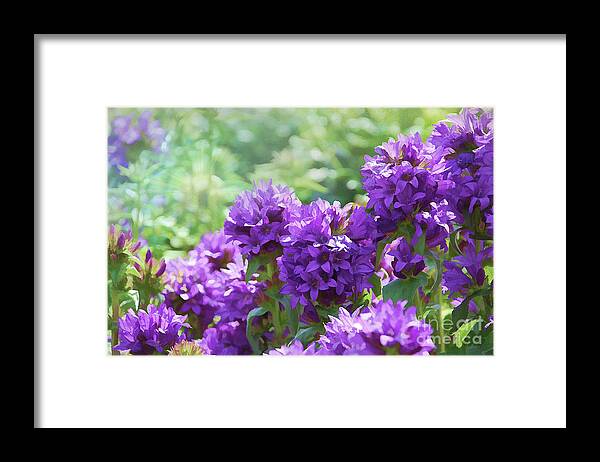 Flora Framed Print featuring the painting Purple Garden by Elaine Manley