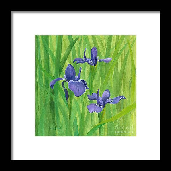 Iris Framed Print featuring the painting Purple Iris by Phyllis Howard
