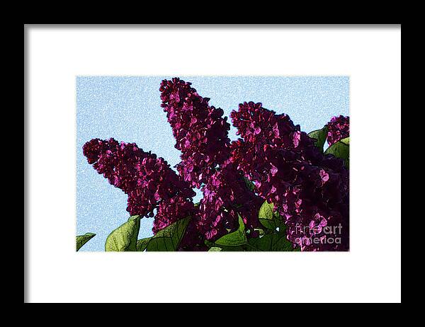 Bloom Framed Print featuring the digital art Purple Lilac 3 by Jean Bernard Roussilhe