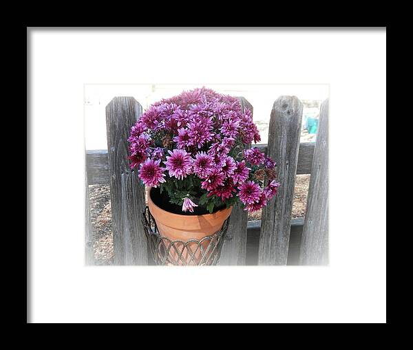 Purple Framed Print featuring the photograph Purple on the Fence by Deborah Kunesh